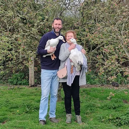 The Free Range At The Cracked Hen גורי