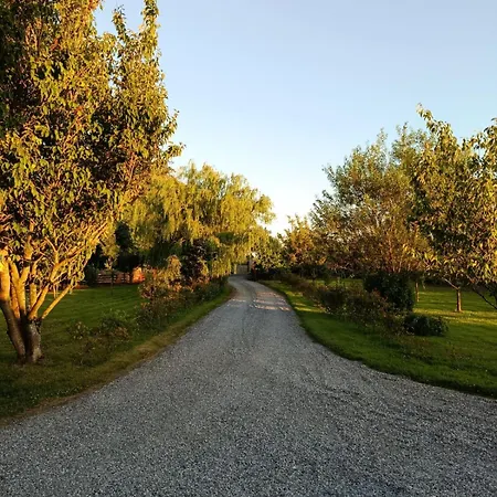 The Free Range At The Cracked Hen * גורי