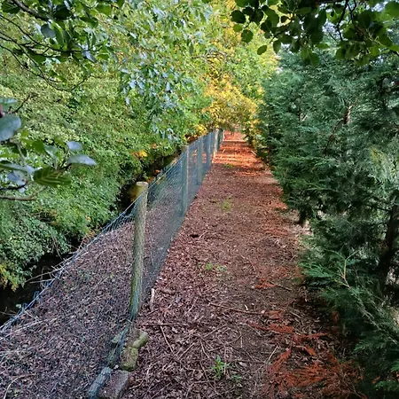 Διαμέρισμα The Free Range At The Cracked Hen *