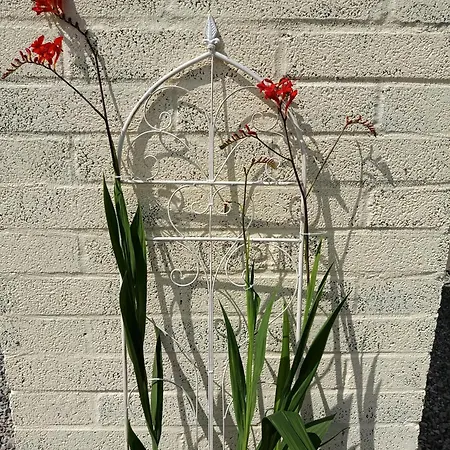 דירה The Free Range At The Cracked Hen *