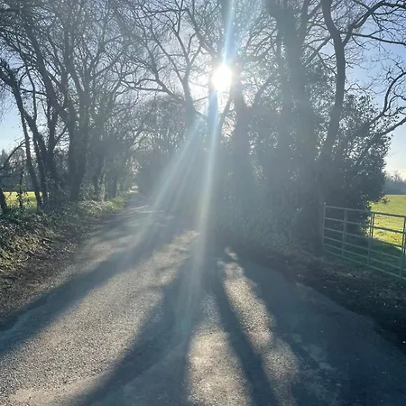 The Free Range At The Cracked Hen Διαμέρισμα Gorey