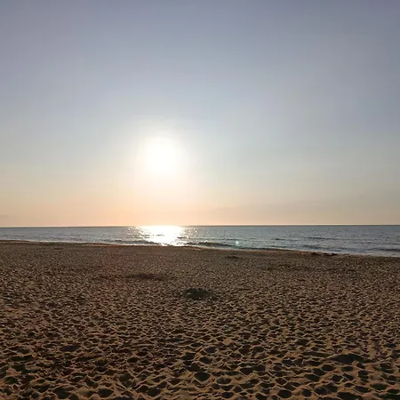 The Free Range At The Cracked Hen *