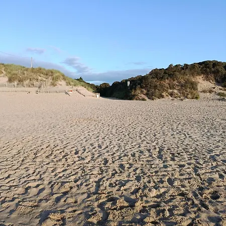The Free Range At The Cracked Hen גורי