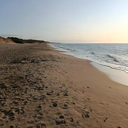 דירה The Free Range At The Cracked Hen
