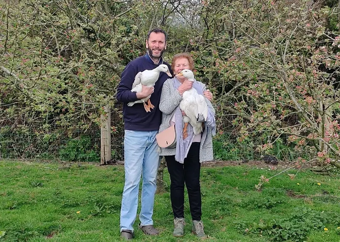 The Free Range At The Cracked Hen Gorey