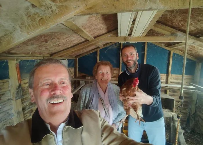 Appartement The Free Range At The Cracked Hen Gorey