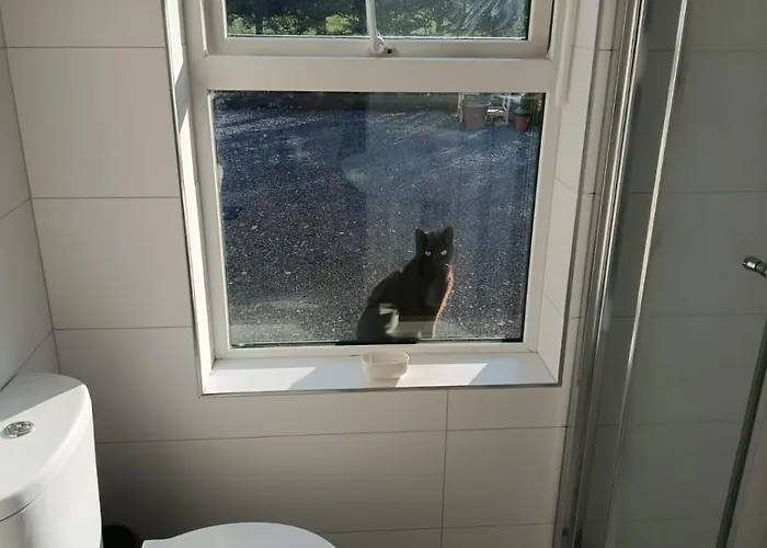 The Free Range At The Cracked Hen Appartement Gorey