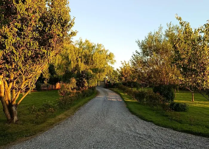 The Free Range At The Cracked Hen * Gorey