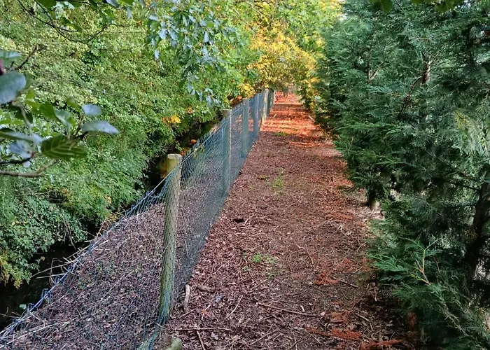 Appartement The Free Range At The Cracked Hen *