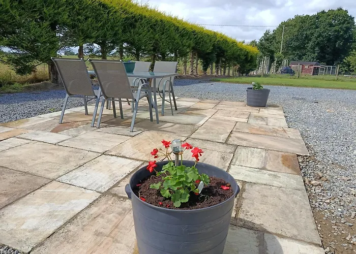 The Free Range At The Cracked Hen *