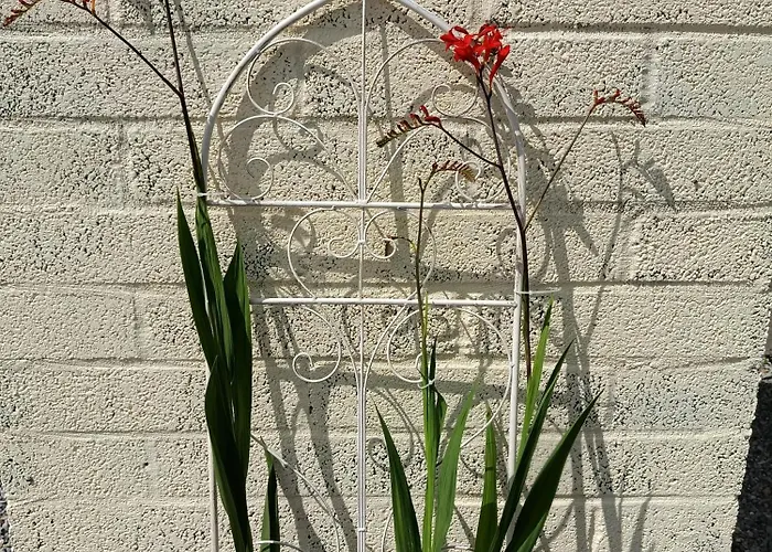 Appartement The Free Range At The Cracked Hen *