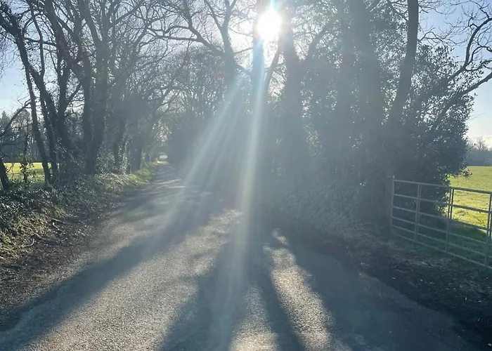 The Free Range At The Cracked Hen Appartement Gorey