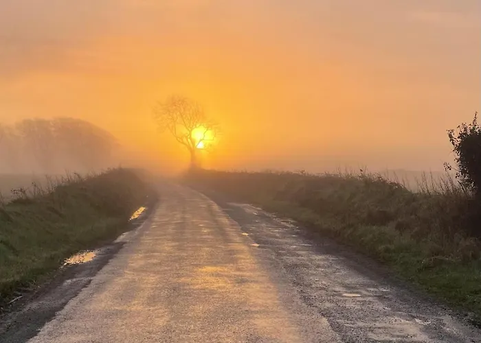 The Free Range At The Cracked Hen