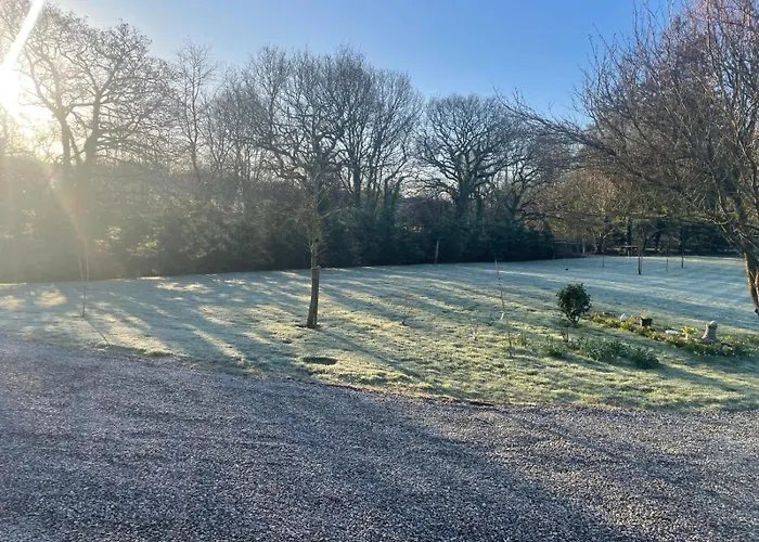The Free Range At The Cracked Hen Appartement