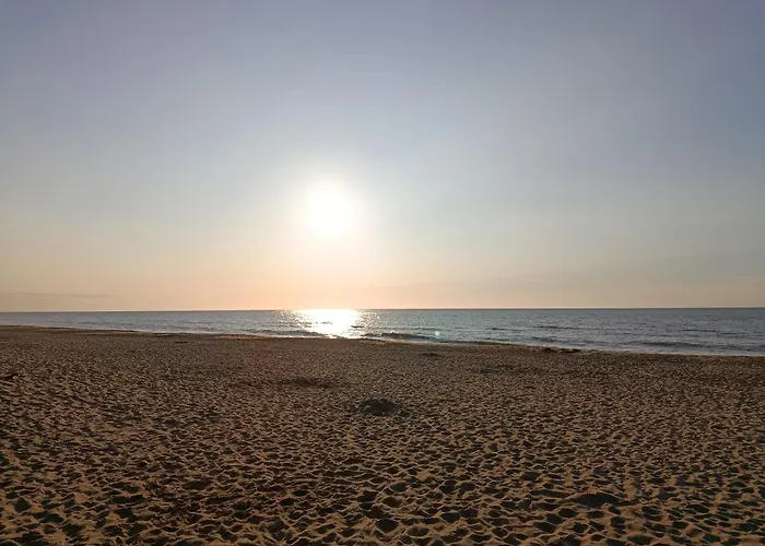 The Free Range At The Cracked Hen *