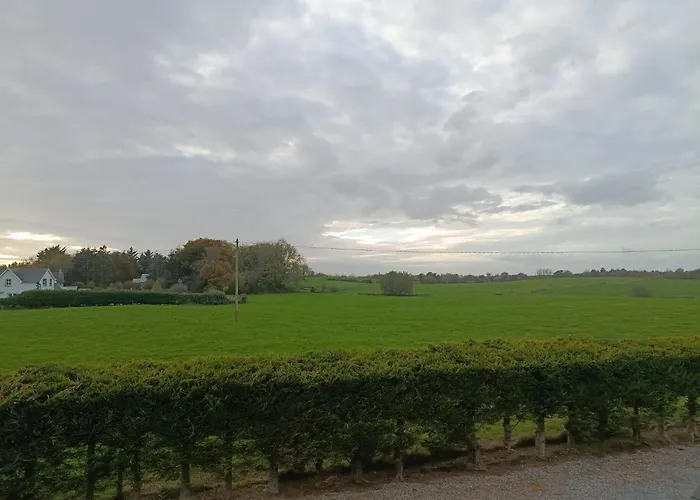 The Free Range At The Cracked Hen Appartement Gorey